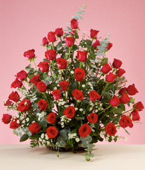 Serenata de Rosas