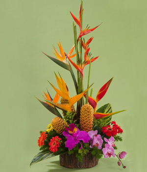 Flores Surtidas