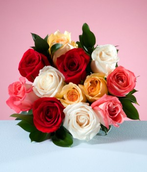Docena de Rosas Surtidas